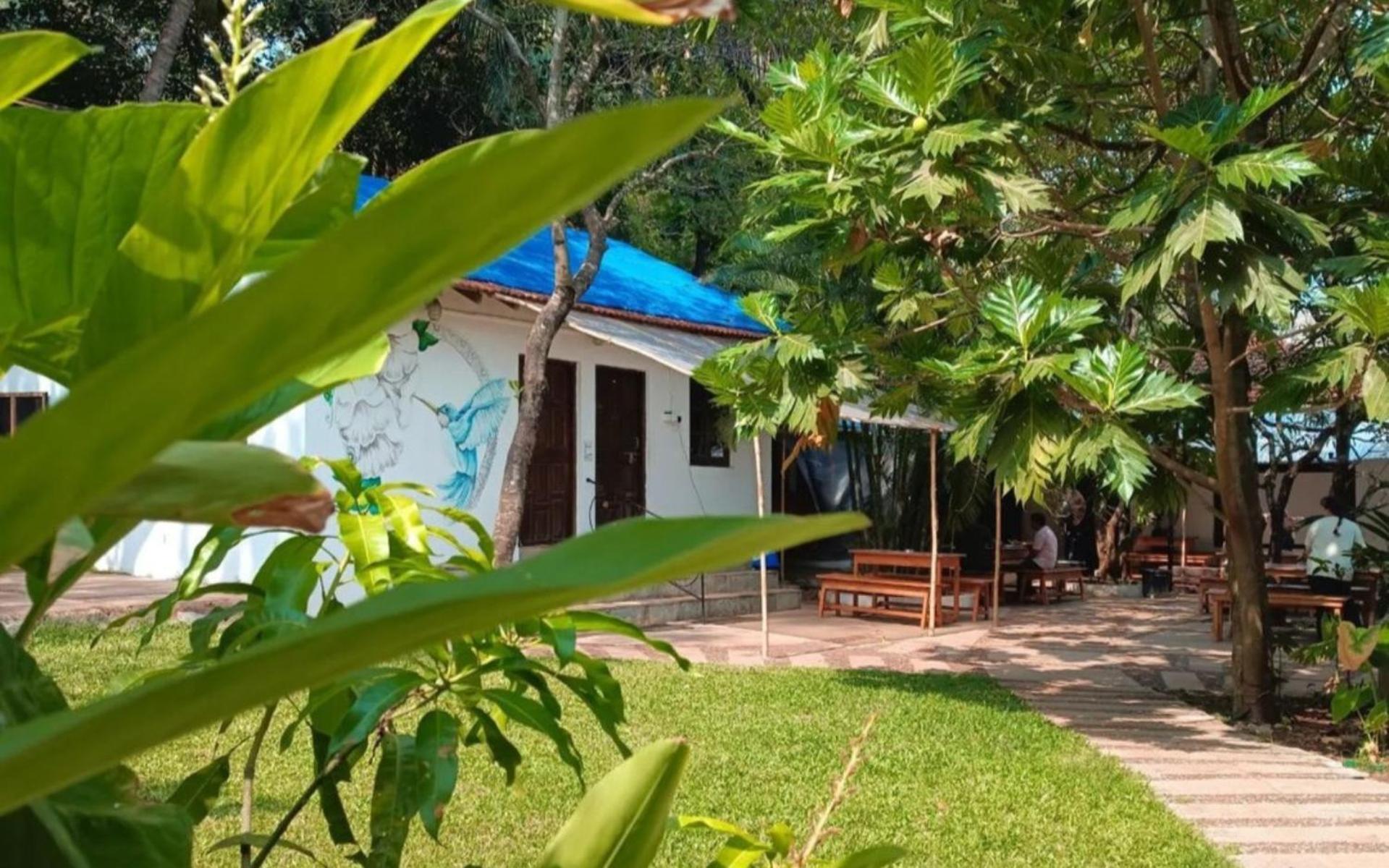 The Funky Monkey Hostel Anjuna Εξωτερικό φωτογραφία
